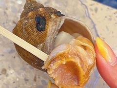 -白仁仔· 活烤海鲜 宵夜(豫园店)