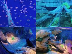 -沈阳海洋探索中心