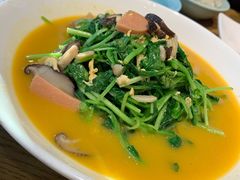 上汤鸡毛菜-鸡毛店·川菜(双楠店)