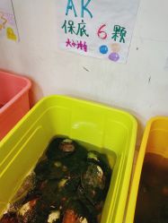 -邵老师打金·黄金加工(大望路总店)
