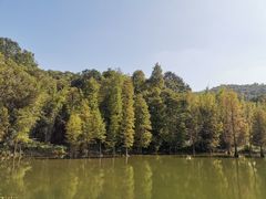 -广州市白云山风景名胜区
