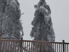 -瓦屋山景区