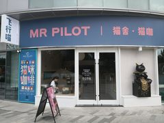 门面-飞行喵MR PILOT|猫舍·猫咖(静安大融城店)