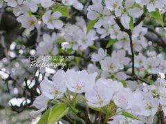 -天坛公园