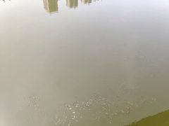-重庆彩云湖湿地公园
