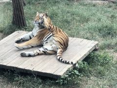 -大连森林动物园