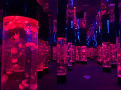 -成都浩海立方海洋公园