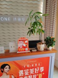 -SILKTONE诗丽堂美容