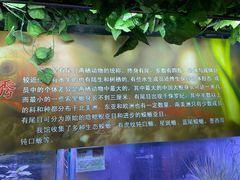 -上海大自然野生昆虫馆