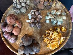 -滇野云南野生菌餐厅(陕西南路店)