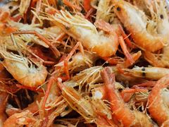 -水库活鱼馆(于桥水库店)