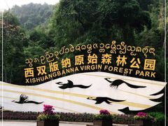 -西双版纳原始森林公园
