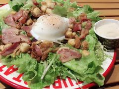 -Tubestation站点比萨(五道营店)