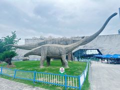 -安徽省地质博物馆