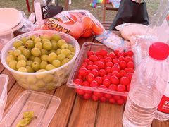 -春花秋色城市公园