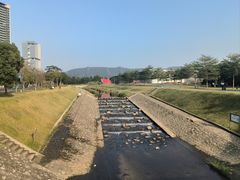 -光明小镇欢乐田园