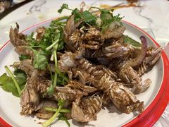 -曹胖子龙虾馆(黄桦路店)
