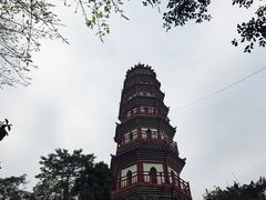 -中山公园(石岐街道)