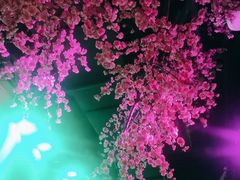-韵秋荷(宝山龙湖天街店)