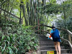 -花水湾第一村温泉大酒店