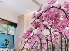 -TSK齿科德申会口腔门诊·联洋诊所