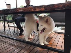 -远山有窑