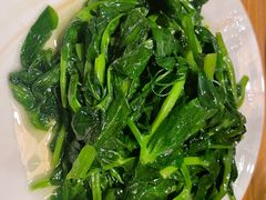 清炒豌豆尖-山茶云南菜(永安里店)
