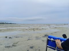 -红树林天天赶海