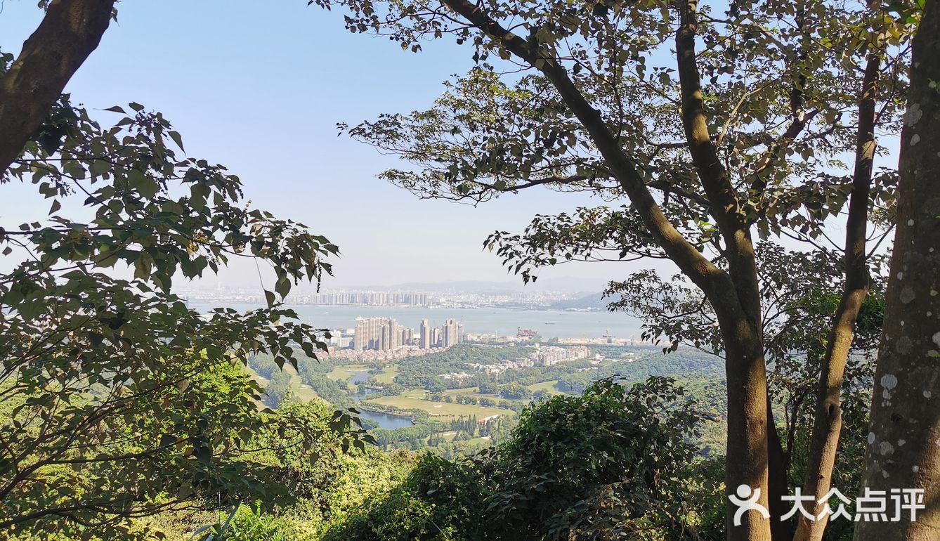 南沙黄山鲁森林公园