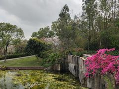 -广州莲花山旅游区