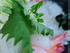 -Hatsune隐泉日式料理(三里屯太古里店)