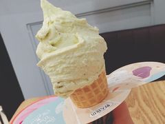 -野人先生现做冰淇淋(西安赛格店)
