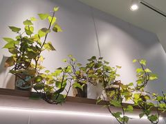 -快乐番薯(金沙天街店)