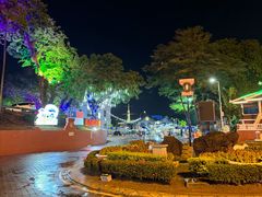 -马六甲鸡场街