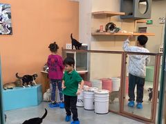 -Honey Bacca 哈尼芭卡高端萌宠(朝阳大悦城店)