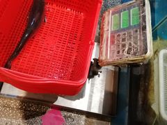 -老板恋上鱼(恒隆广场店)