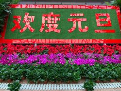 点击看大图 -情订奇缘婚纱摄影(和平路店)