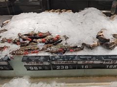 -渔娘渔家丹东海鲜(东直门店)