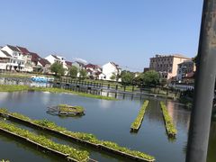 -金山嘴渔村