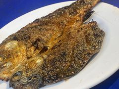 -黑皮烧烤(民意四路店)