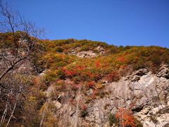 景点-终南山国家森林公园