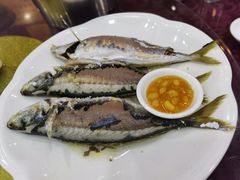 -阿静美食