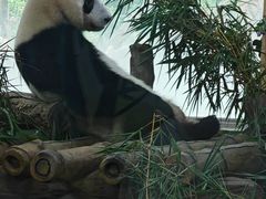 -广州动物园