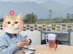 -竹语饭香·原生态农庄·烧鸡·竹筒饭·河鲜(森林海白水寨店)