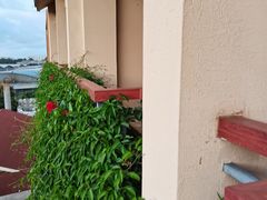 -稷泽·海丽宾雅温泉度假酒店