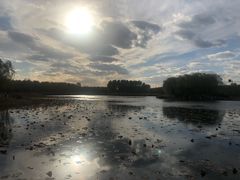 -东郊湿地公园