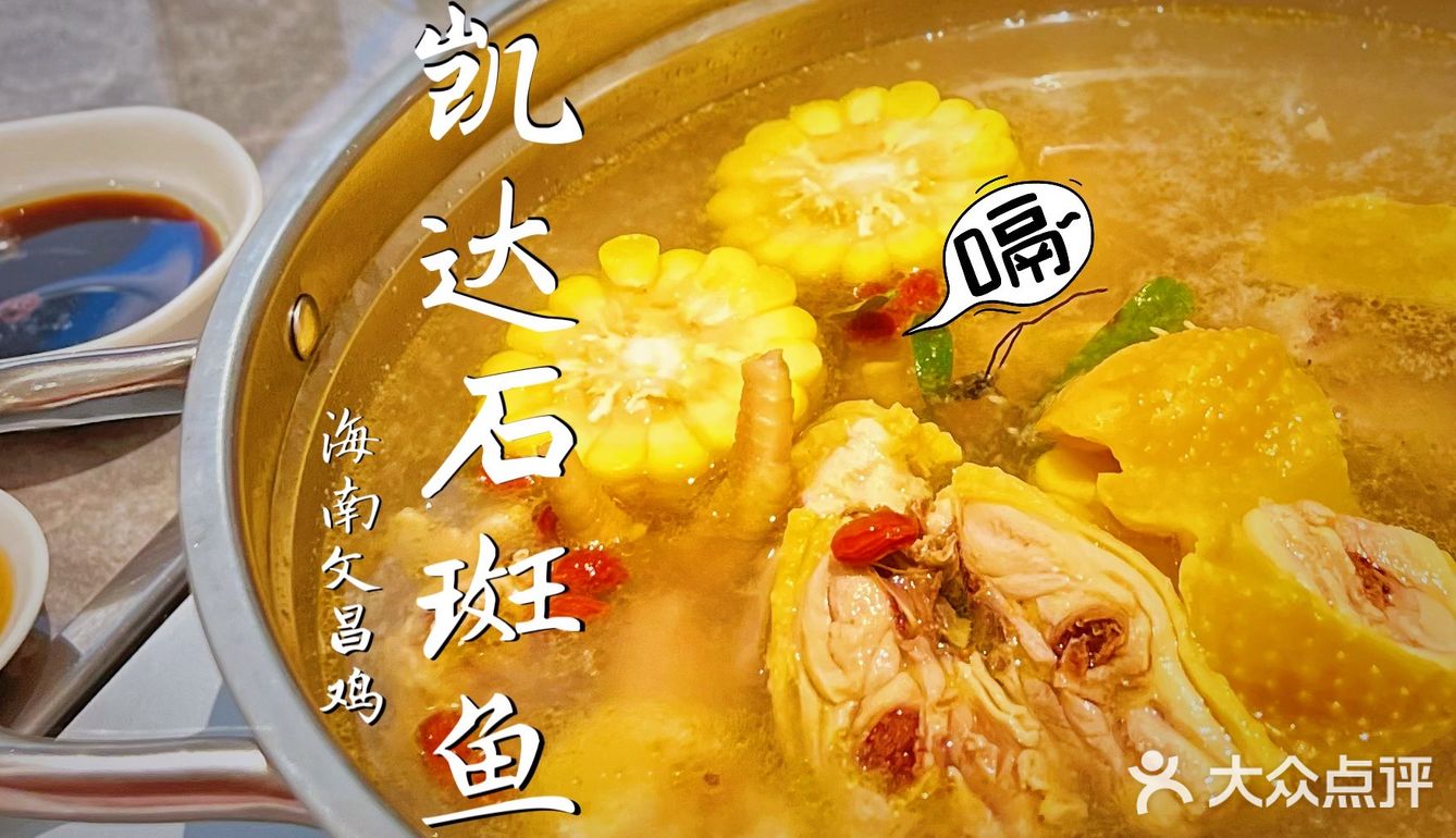 凯达·吃鲨鱼的鱼