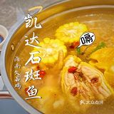 凯达·吃鲨鱼的鱼