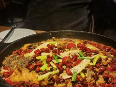 老板恋上鱼-老板恋上鱼(高新万达店)