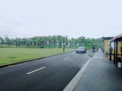 -春花秋色城市公园